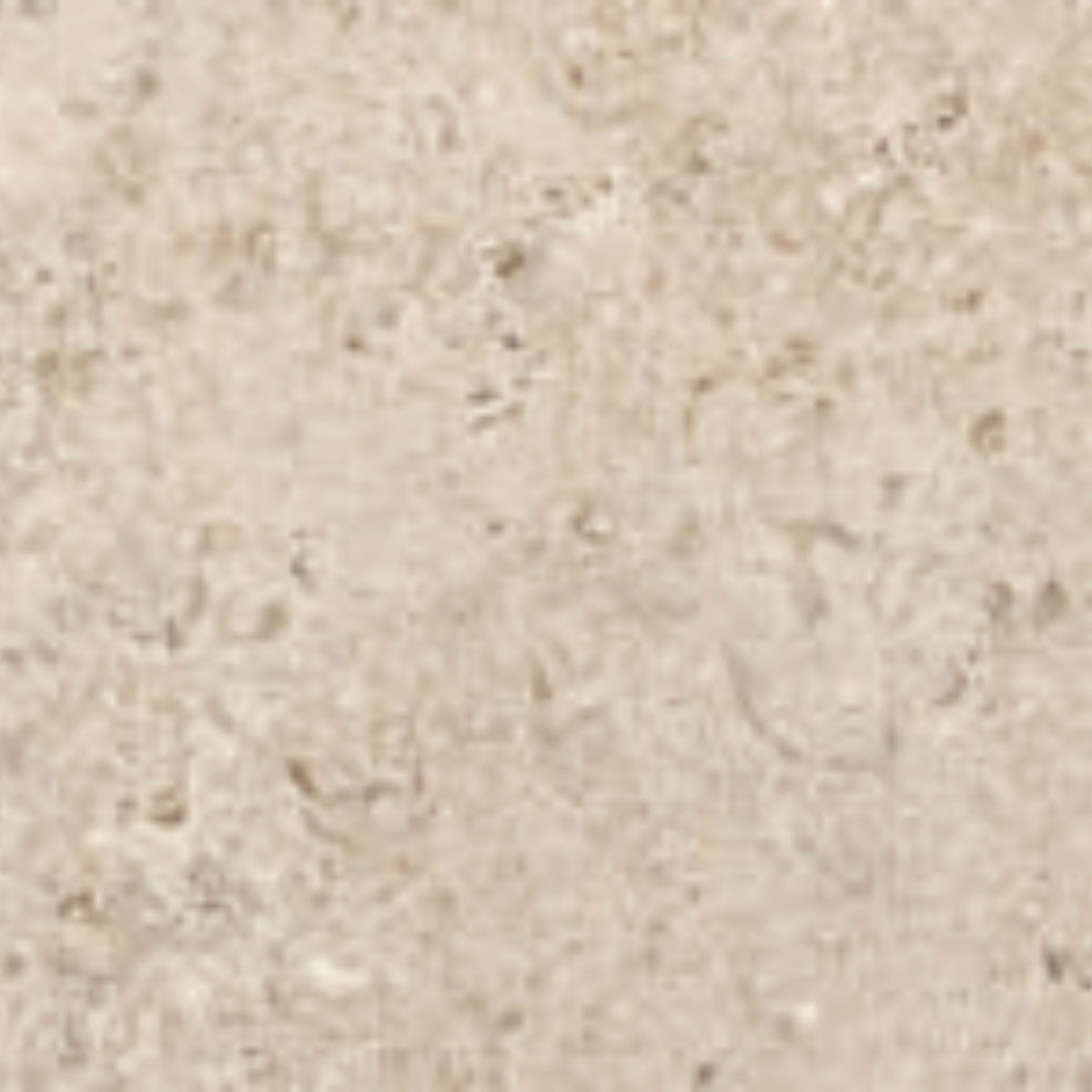 Shellstone in Amber-12x24 Tile — Atlanta Flooring Design Centers