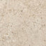 Shellstone in Amber-24x48 Tile
