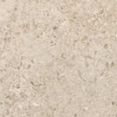 Shellstone in Amber-Mosaic Tile