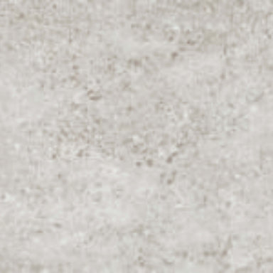 Shellstone in White-24x48 Tile