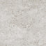 Shellstone in White-Mosaic Tile