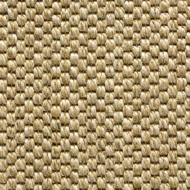 Sahara in Desert Carpet