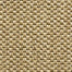 Sahara in Desert Carpet