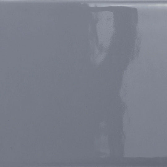 Catch in Silicon Glossy 3" X 6"