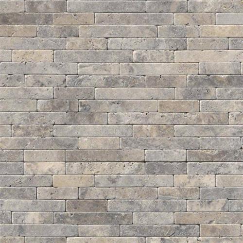 Silver Travertine in Silver Travertine - 8x18 Tumbled Veneer
