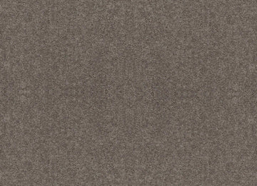 Steel