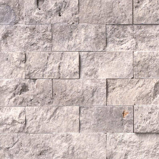 Silver Travertine in Gray-Light 2x4