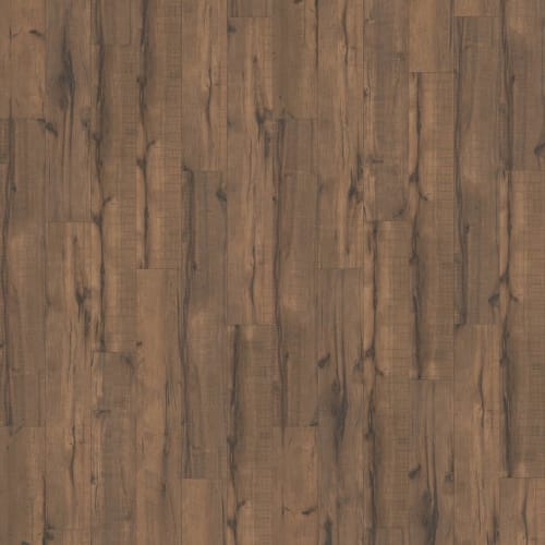 GOLDEN PLUS II in Wyoming Sky