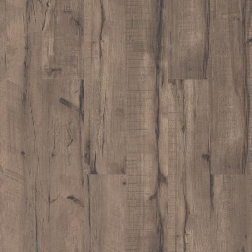 GOLDEN PLUS II in Empire State Of Mind