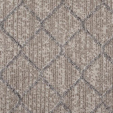 Synthesis in Oyster Grey Carpet