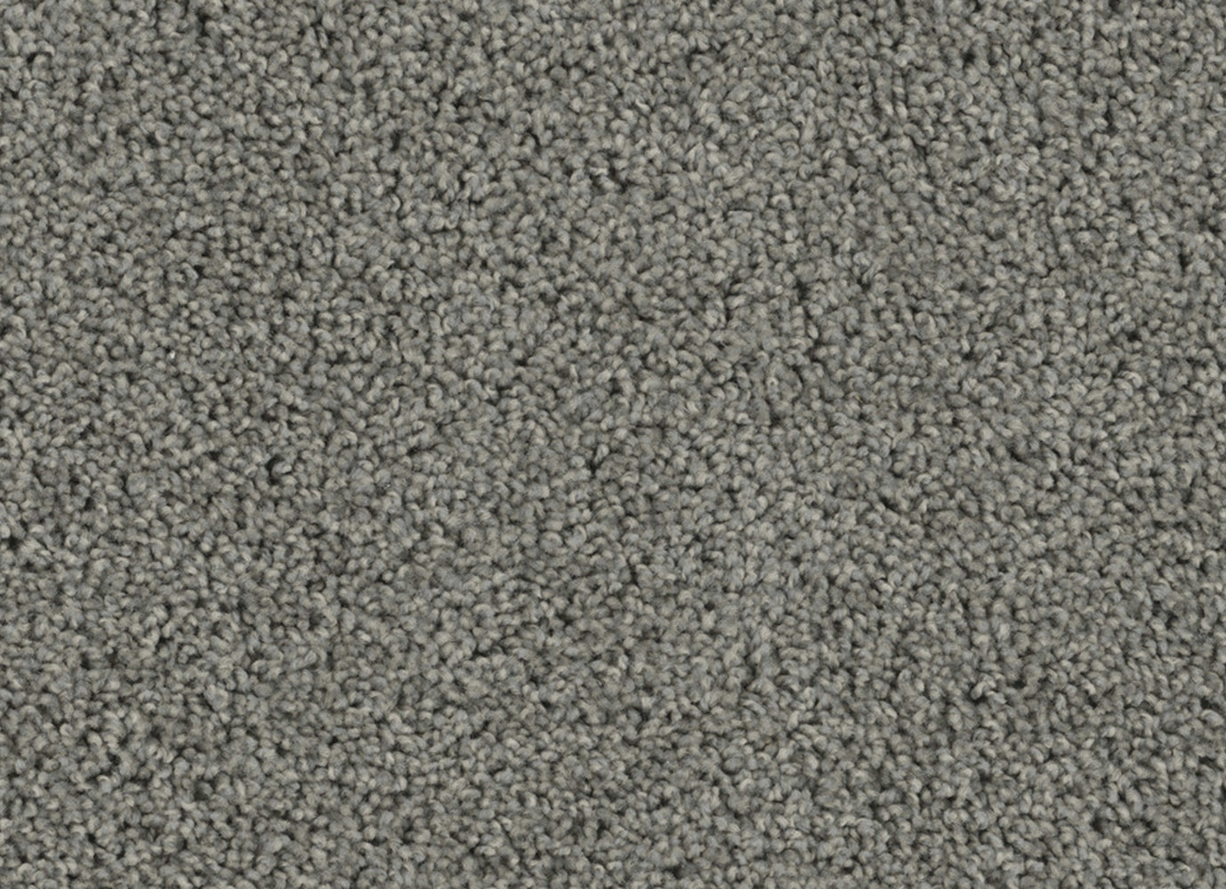 SP250 in Bayside Carpet