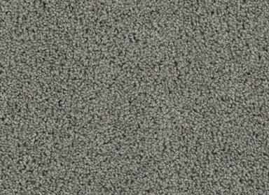 SP250 in Bayside Carpet
