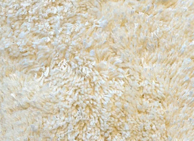 Splendor in Natural Carpet