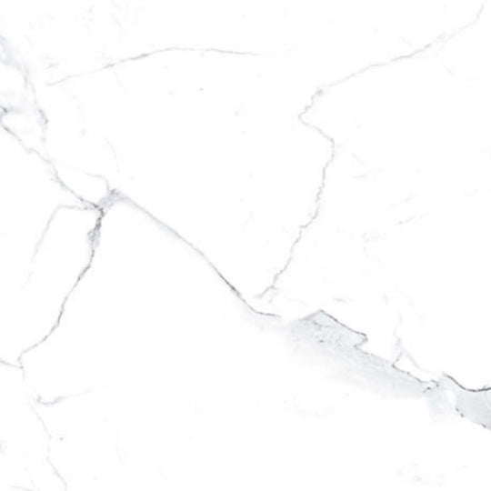 Statuario in Polished 24x48