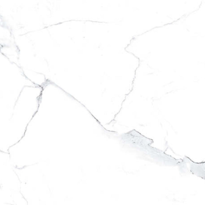 Statuario in Polished 12x24 Tile