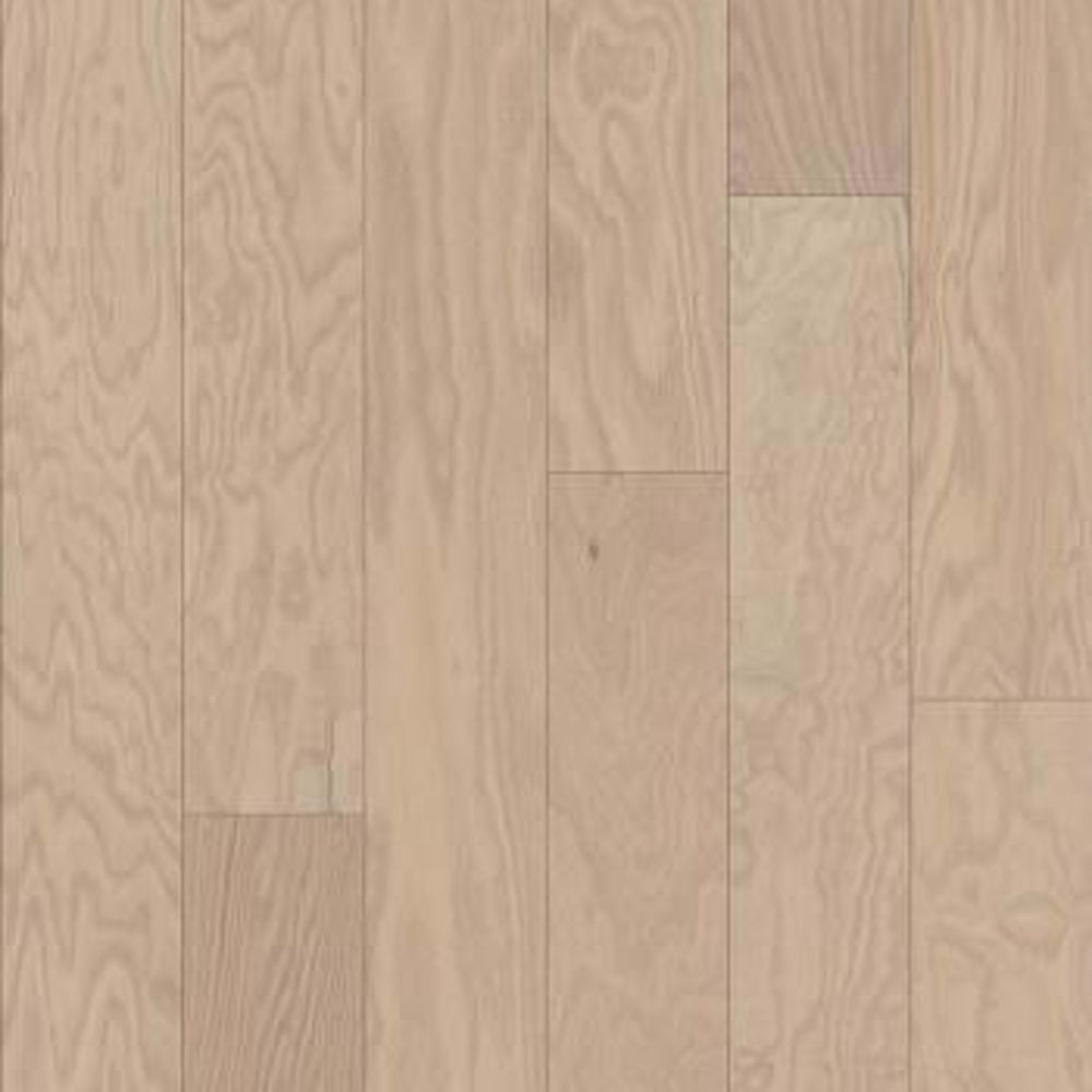 ANTERES in Modern Hardwood