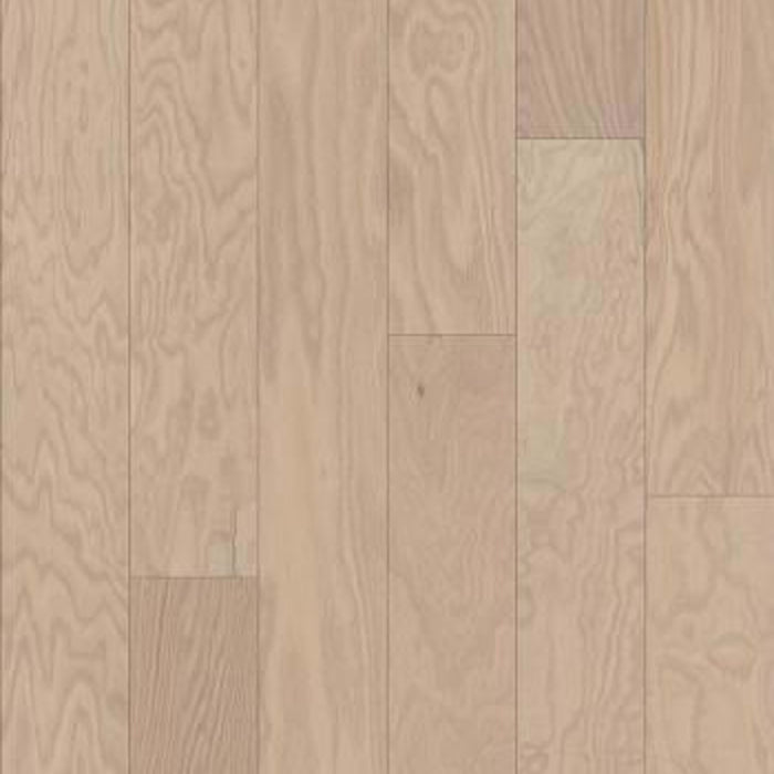 ANTERES in Modern Hardwood