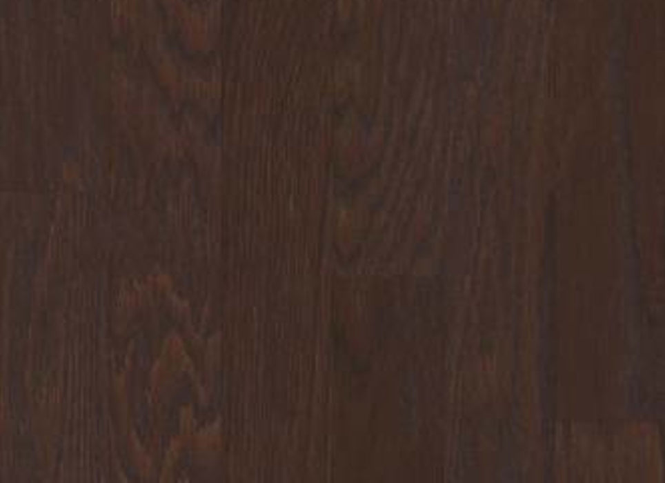 ALBRIGHT OAK 3.25 in Coffee Bean