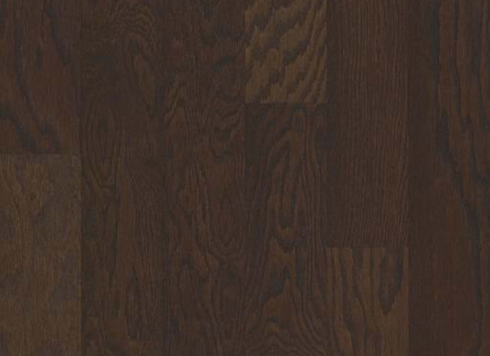 ALBRIGHT OAK 5 in Chocolate