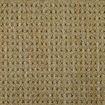 Acacia