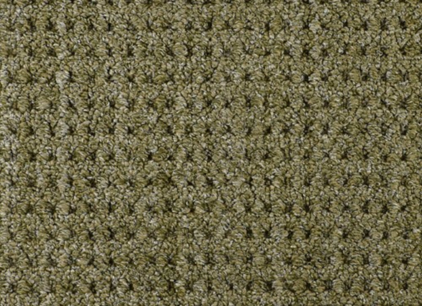 Savanna Weave in Bermuda Carpet