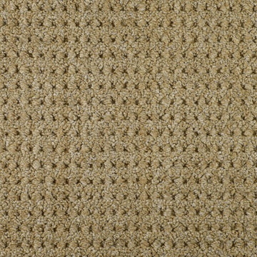 Jute