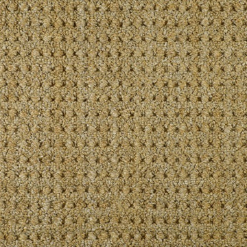 Star Grass