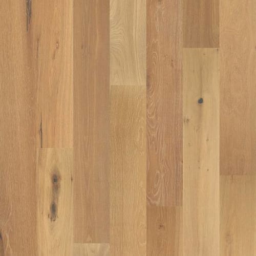 BUILDER HARD SURFACE in Thicket Smooth Hardwood