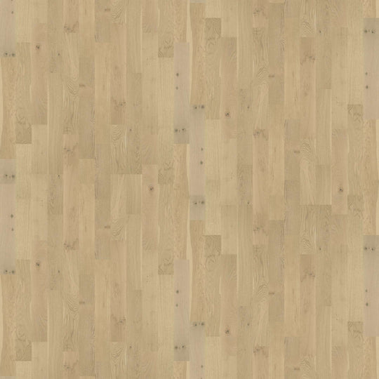 FORT MORGAN in Duchess