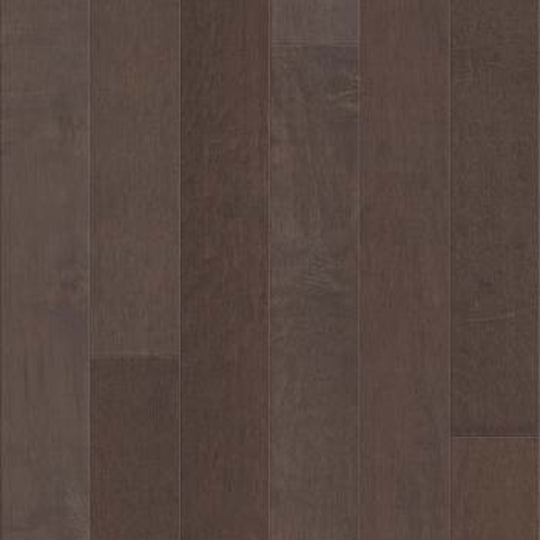 KELTIC MAPLE in Antebellum