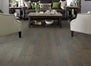 KELTIC MAPLE in Antebellum