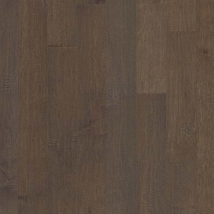 IVY MAPLE in Timberwolf Hardwood
