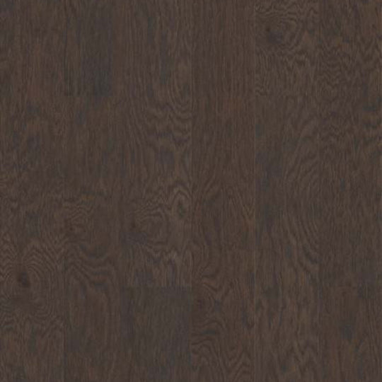 CALICO OAK in Basalt