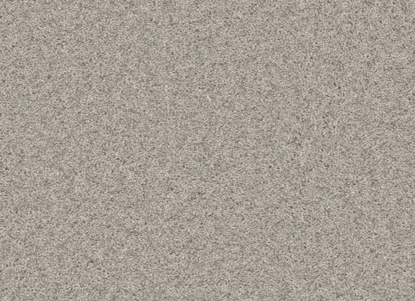 Windy City II in Sageview Carpet