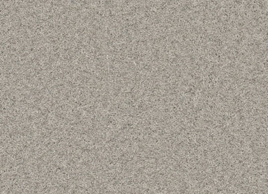 Windy City II in Sageview Carpet