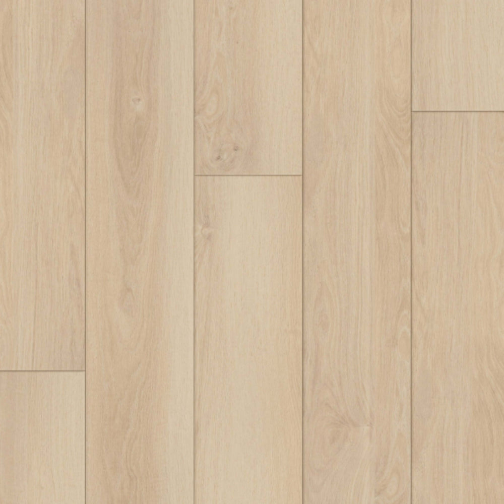 Regency in Sandy Bay Luxury Vinyl