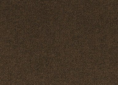 Sanford in Chocolate Carpet