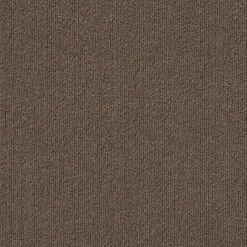 Pecan