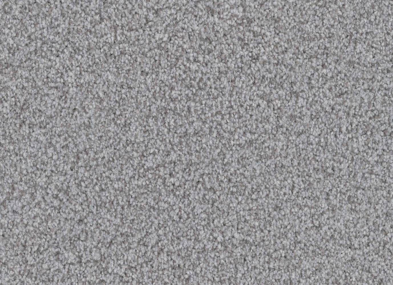 Santa Rosa in Anchor Carpet