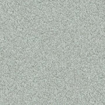 Beach Grass