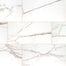 Savoy in Crema - 24x48 Matte Tile