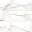 Savoy in Crema - 24x48 Polished Tile