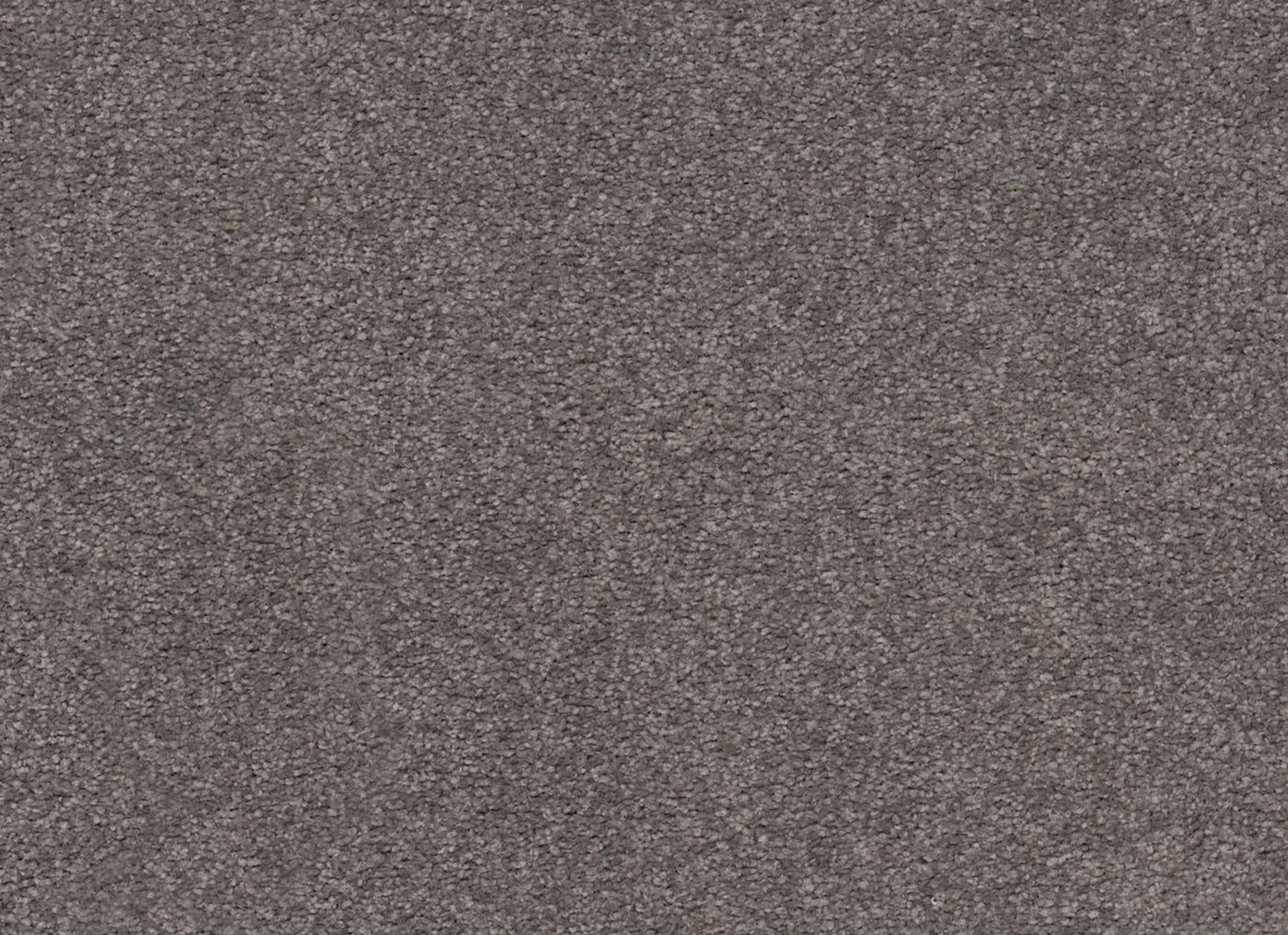 Somerset Bay in Graphic Carpet