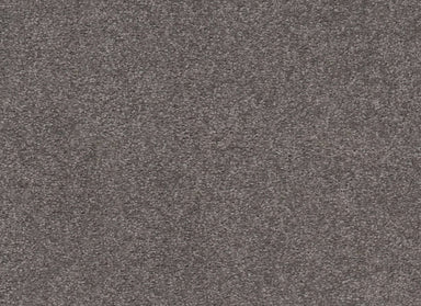 Somerset Bay in Graphic Carpet