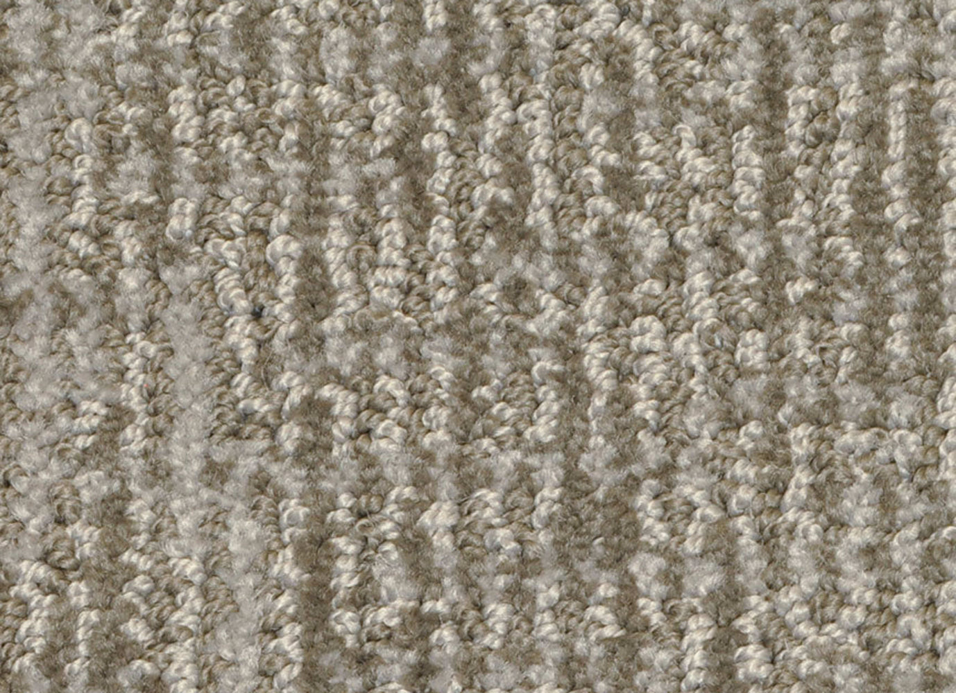 Seagate in Zorro Carpet