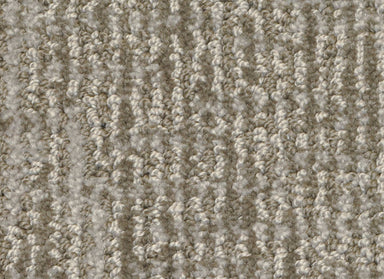 Seagate in Zorro Carpet