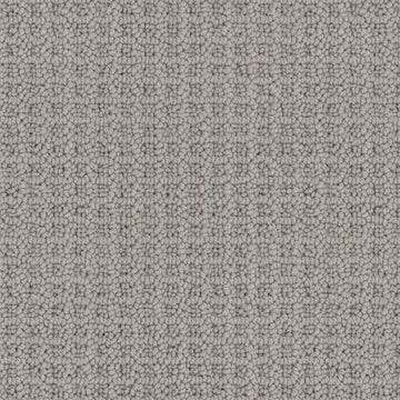 Dolphin Grey