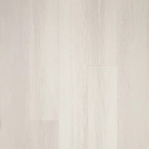 7 Series - Seaview in Glacier