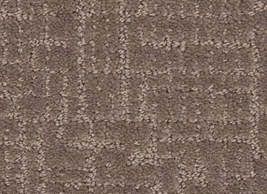 Delicate Feature in Sedona Carpet