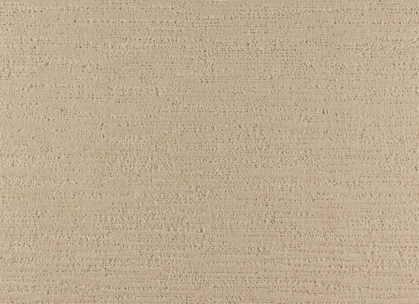 Serene Retreat in Filtered Light Carpet